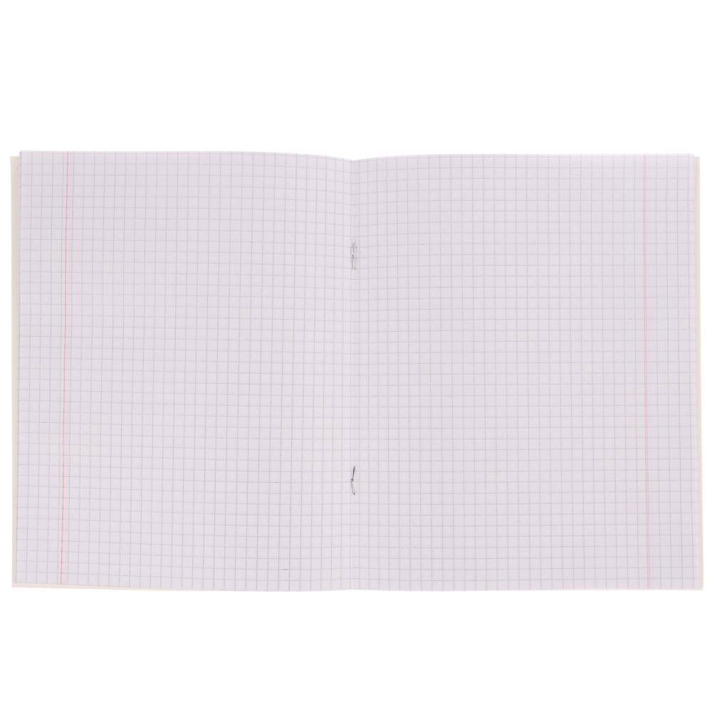 Тетрадь школьная 18 листов в клетку, БЕЛЫЕ ЛИСТЫ, обложка картон 190 г/м2, "Рэйсинг Тим" 4 дизайна, арт.№ 579-037