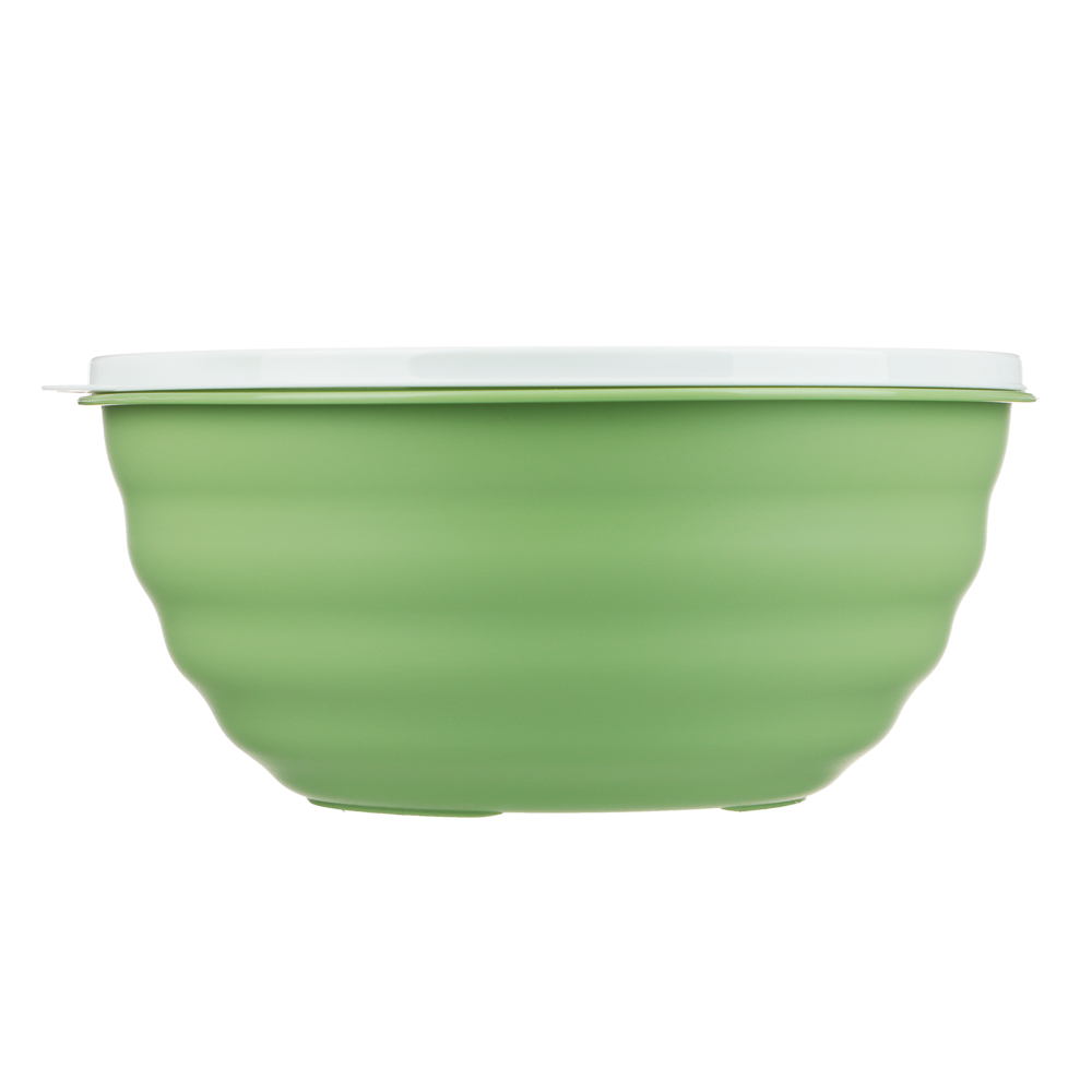 Миска Latina 2,1л с крышкой, с декором, пластик, 2 цвета, арт.№ 861-494