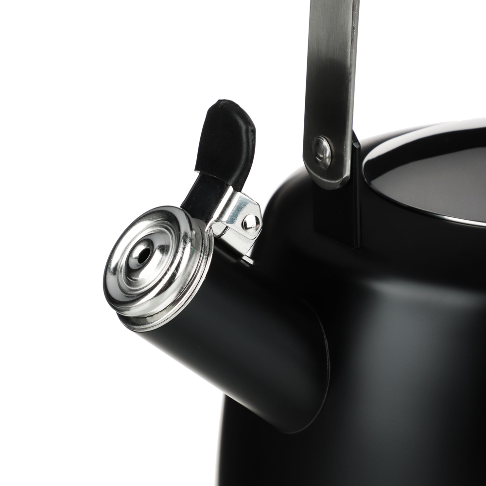 SATOSHI Нера Чайник 2,5л нерж.сталь, индукция (ID-K621), арт.№ 847-010