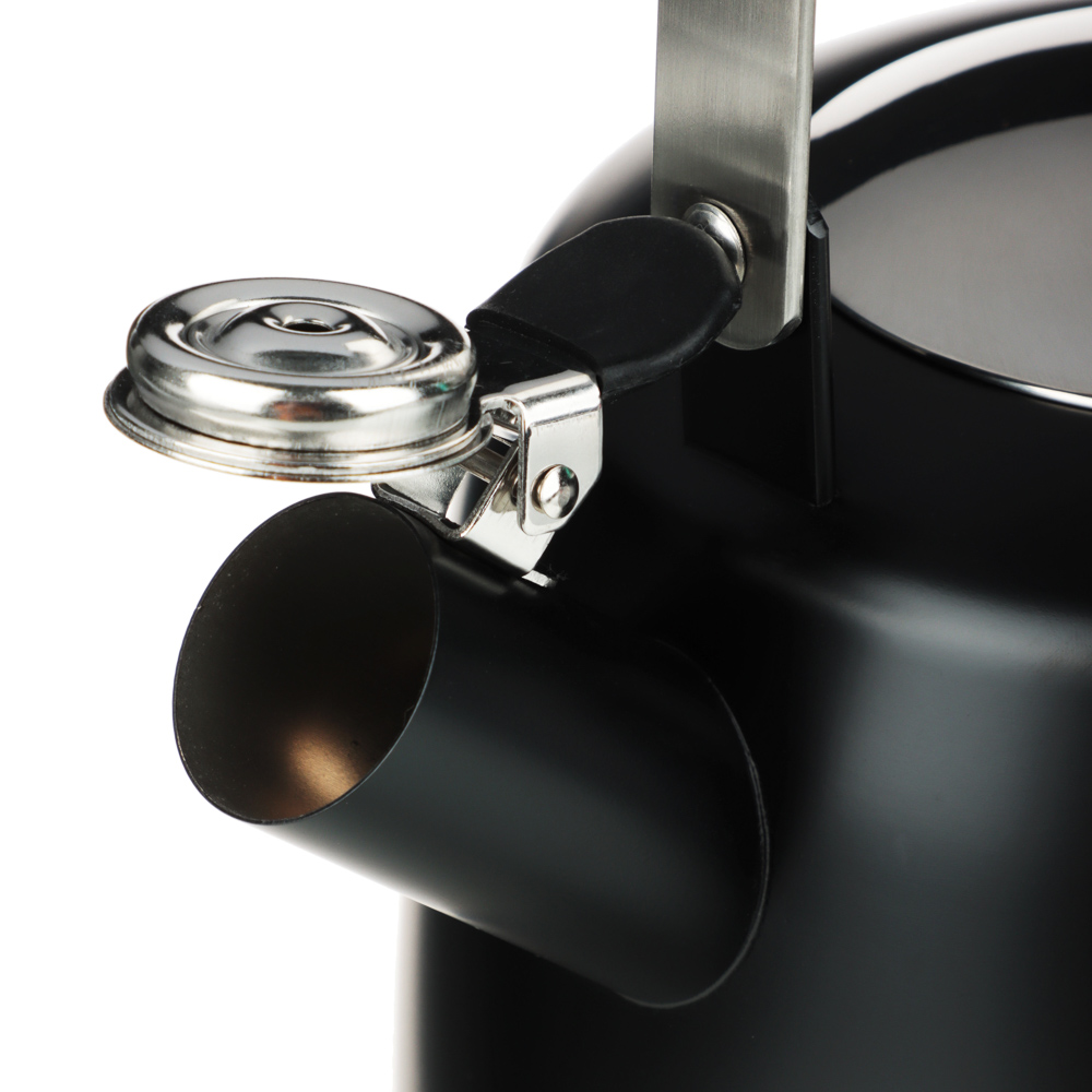 SATOSHI Нера Чайник 2,5л нерж.сталь, индукция (ID-K621), арт.№ 847-010