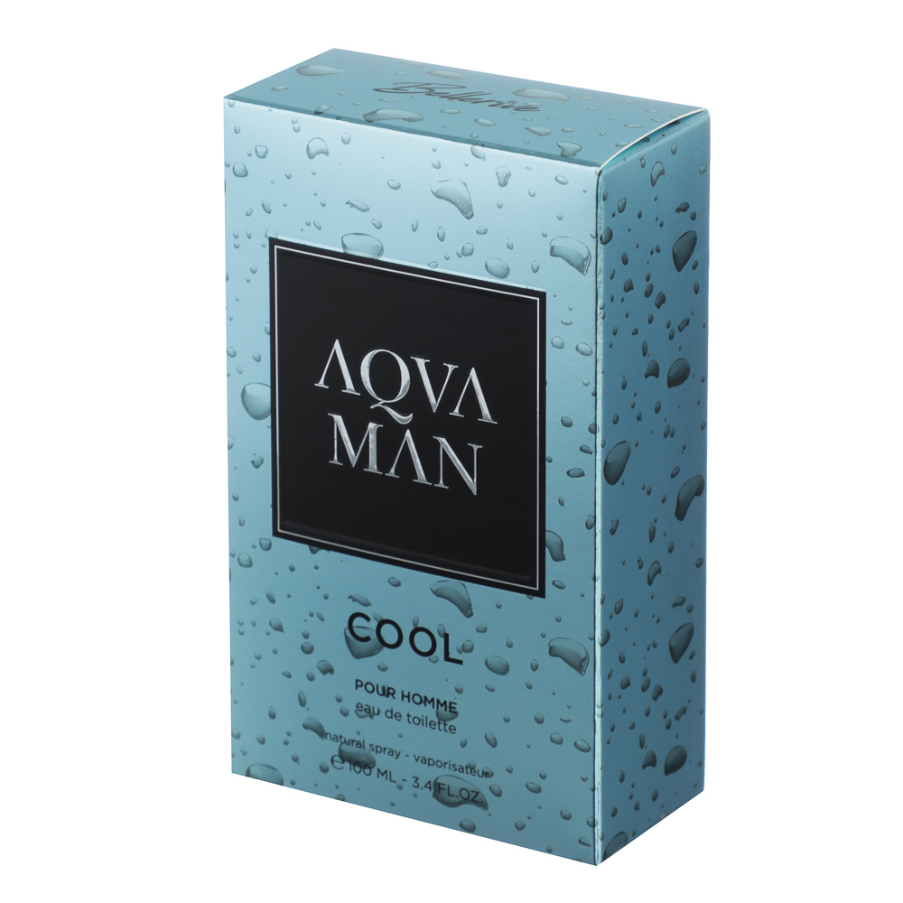 Туалетная вода мужская тм BELLERIVE AQVAMAN Cool, 100 мл, арт.№ 313-381