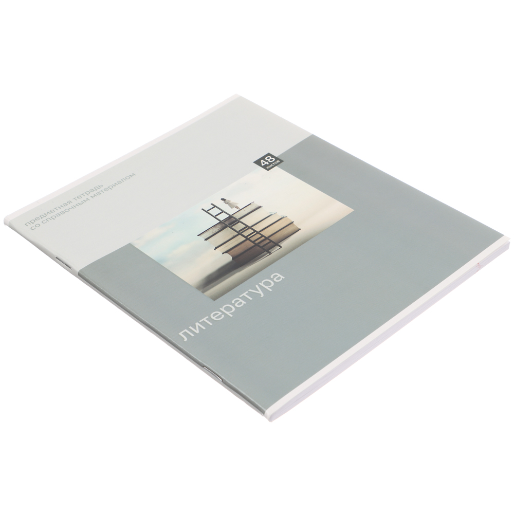 Тетрадь общая 48 листов "Предметная" ClipStudio, БЕЛЫЕ ЛИСТЫ, обл.картон "Монохром" скрепка, 7 видов, справ.материал, арт.№ 578-159