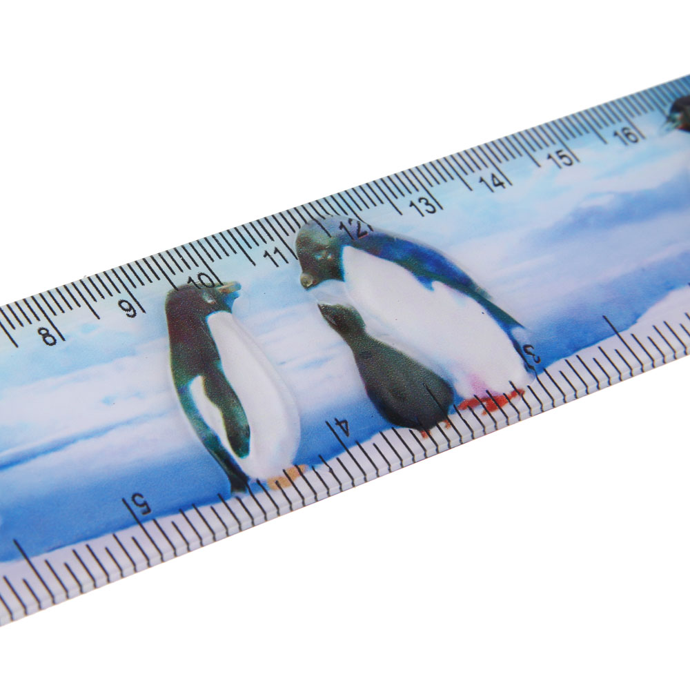 Линейка пластиковая FLOMIK 20см, с цветной печатью, 4 дизайна, пакет с подвесом, арт.№ 612-011