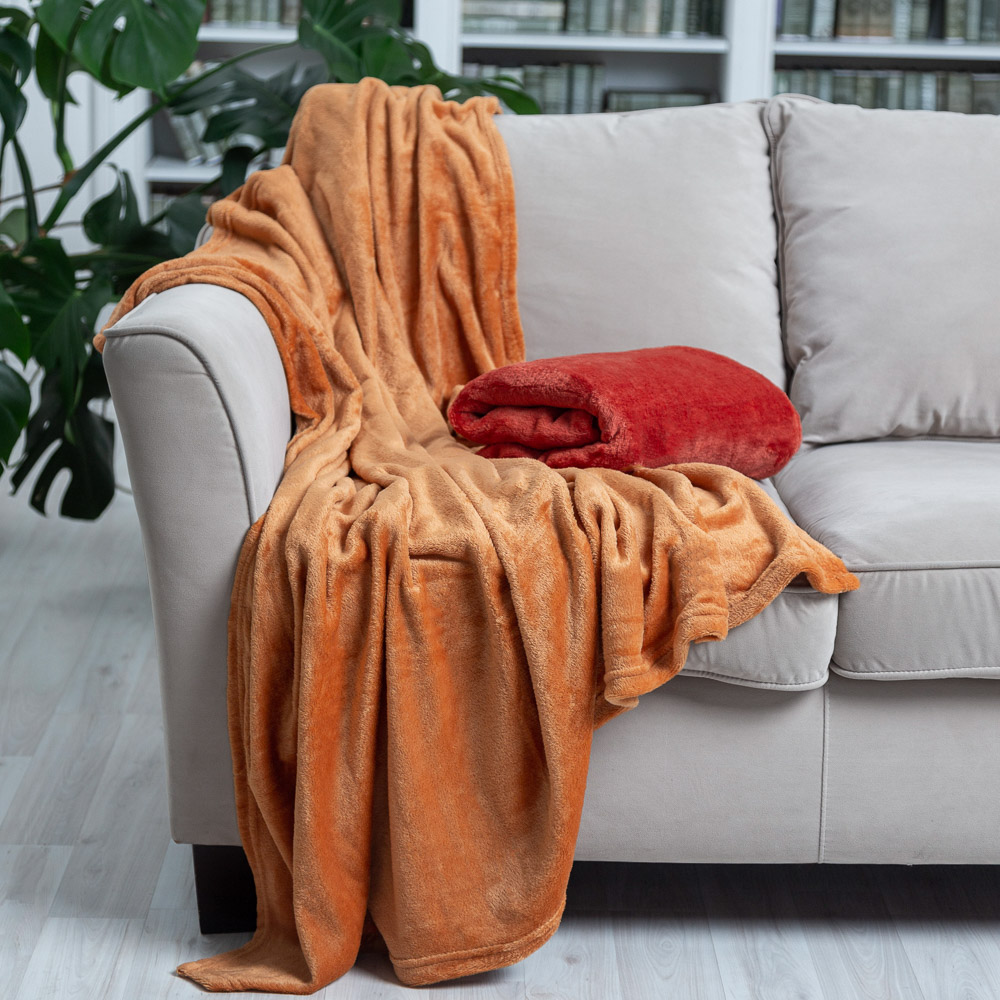 PROVANCE Плед, микрофибра, 130х150см, 180гр/м, "Уют", 2 цвета, арт.№ 486-066