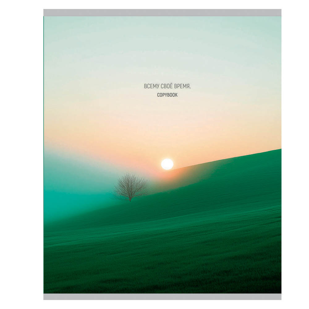 Тетрадь 48 л., А5, в клетку, БЕЛЫЕ ЛИСТЫ, обложка картон, скрепка, мат.ламинация, арт.№ 578-192