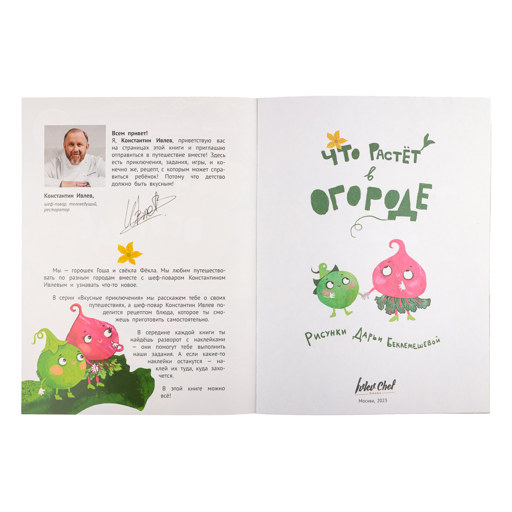 Ivlev Chef Books Книга с наклейками "Вкусные приключения", бумага, 21х28см, 16 стр., 3 дизайна, арт.№ 290-001