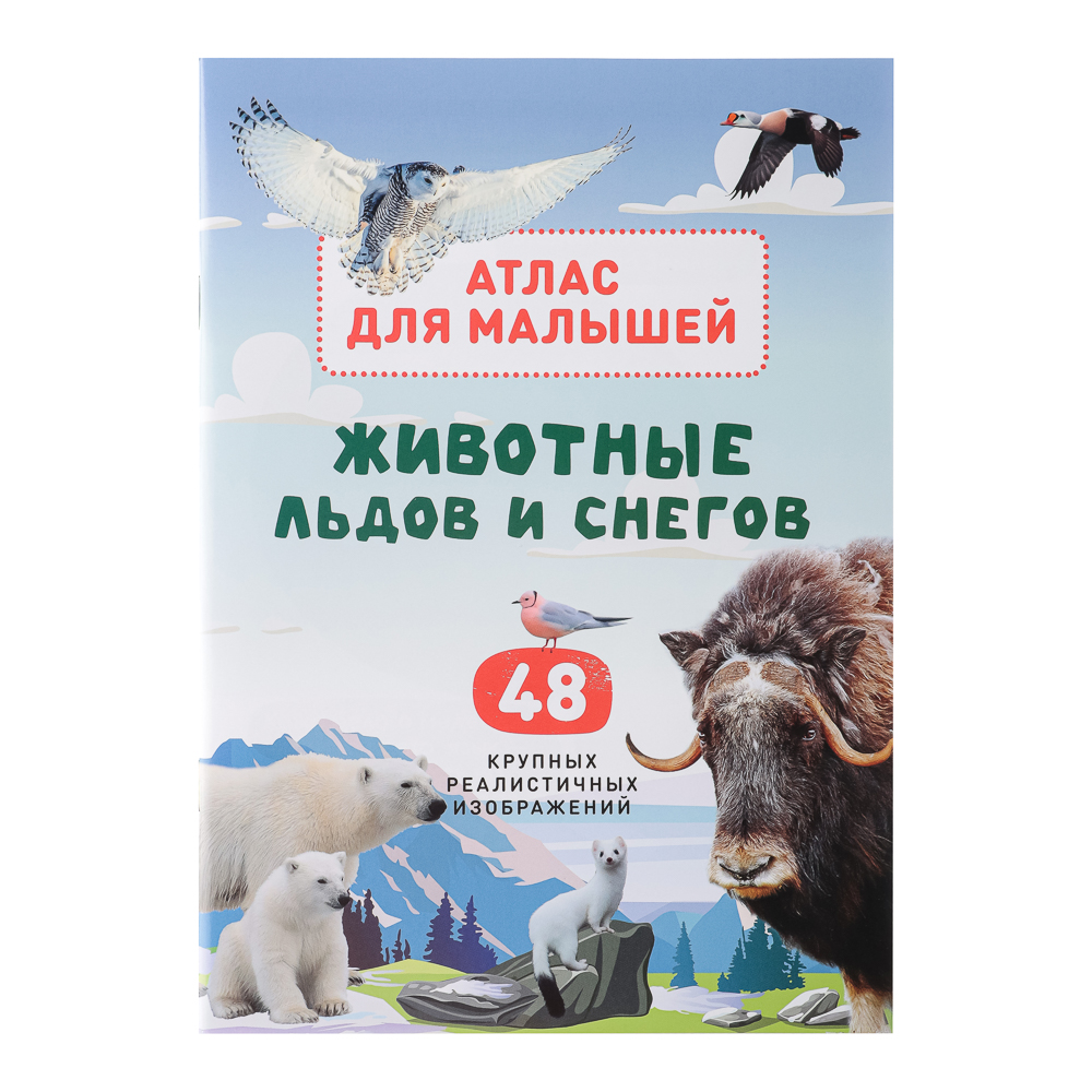 УИД "Атлас для малышей", бумага, 48 стр., 17х24см, 6 дизайнов, арт.№ 857-164