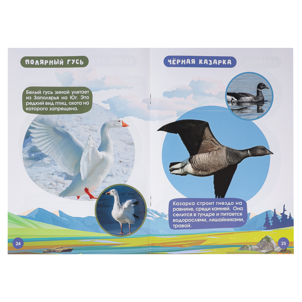 УИД "Атлас для малышей", бумага, 48 стр., 17х24см, 6 дизайнов, арт.№ 857-164