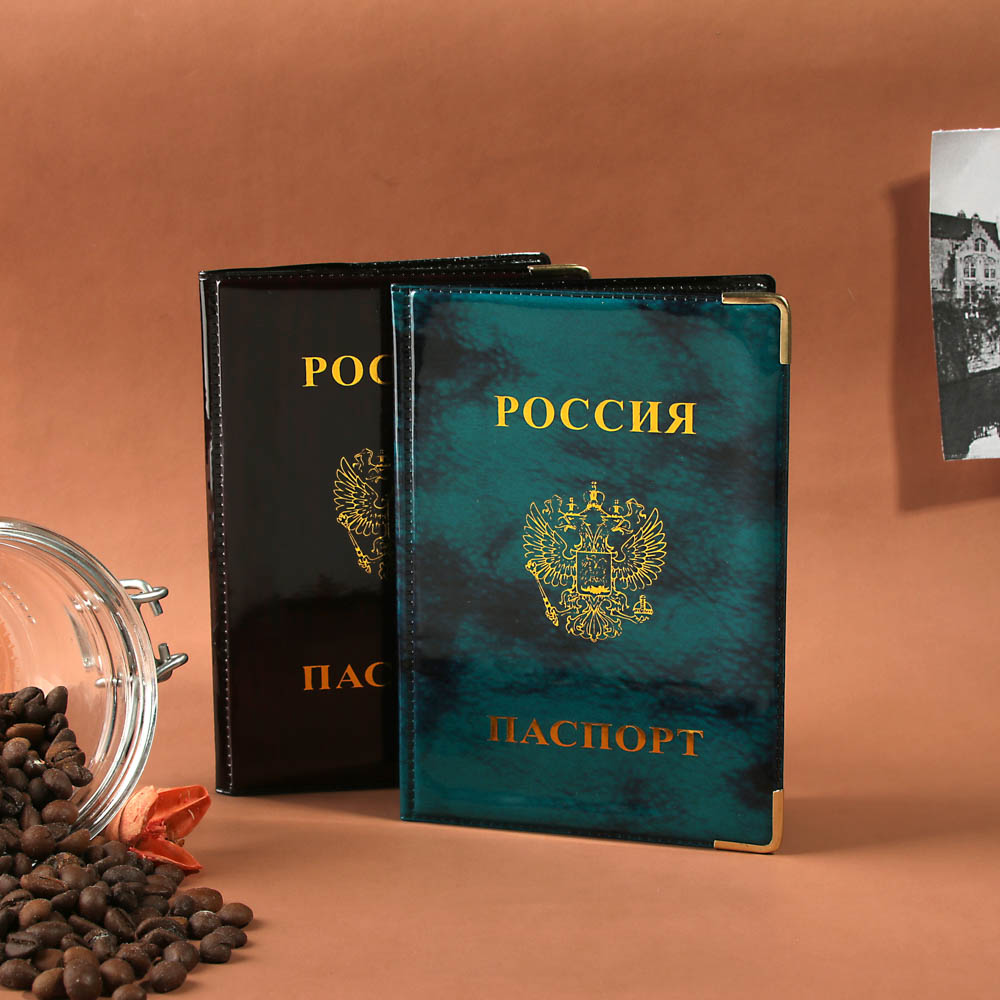 PAVO Обложка для паспорта 9,3х13,4см, ПВХ, 2 цвета, арт.P2015-21, арт.№ 334-023
