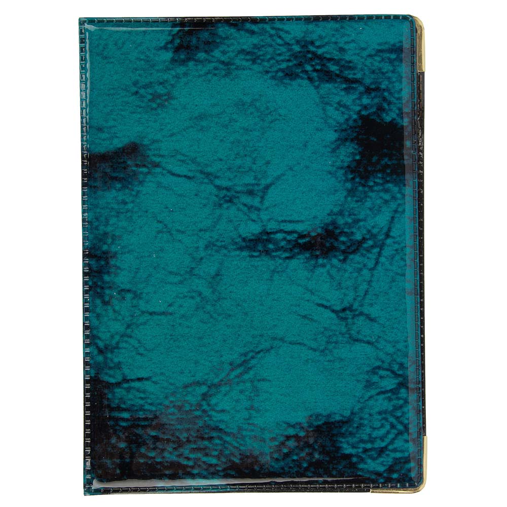PAVO Обложка для паспорта 9,3х13,4см, ПВХ, 2 цвета, арт.P2015-21, арт.№ 334-023