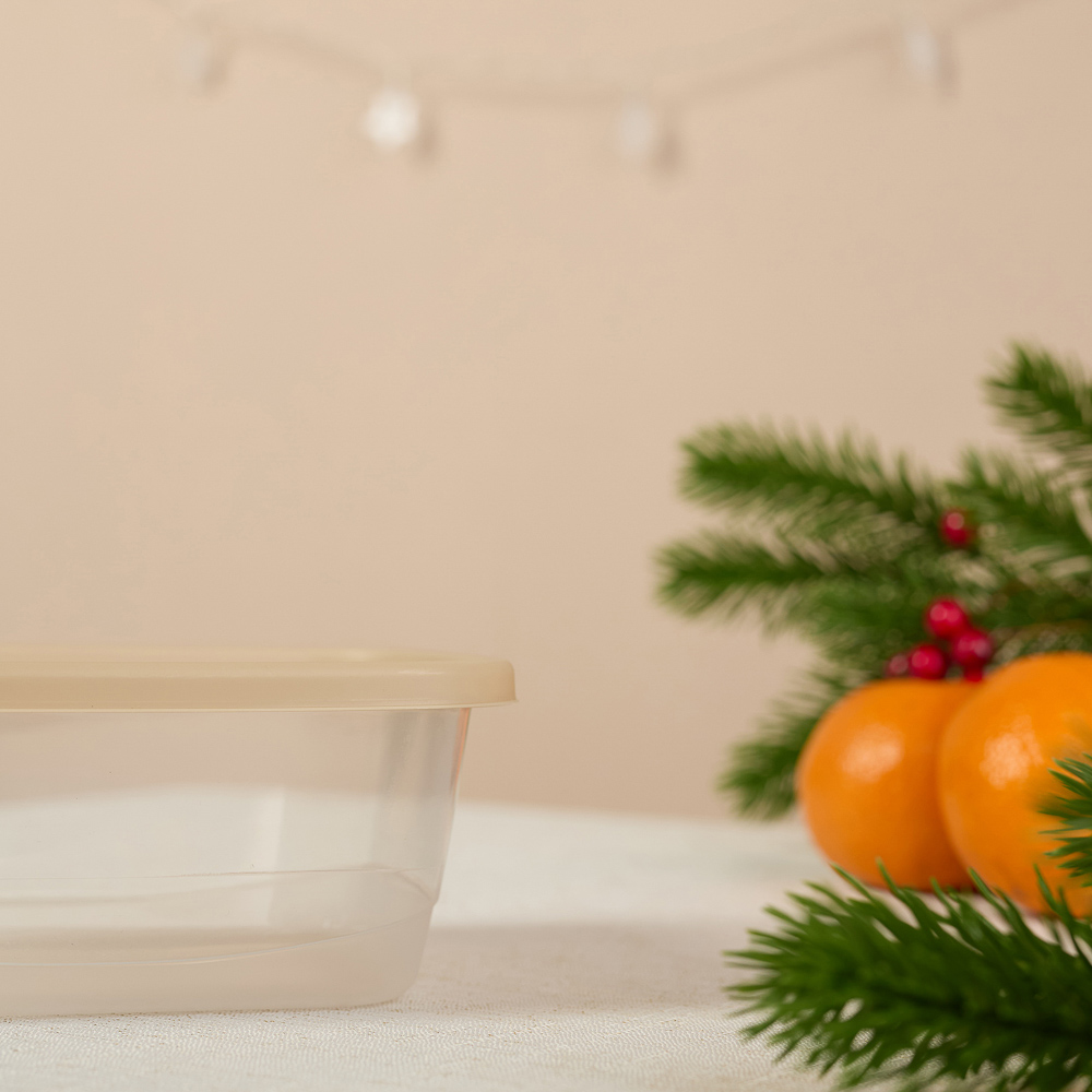 Шишки, Гном Контейнер для продуктов прямоугольный 0,85л, пластик, 2 дизайна, арт.№ 861-467