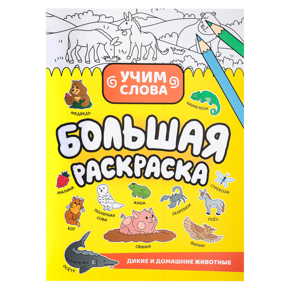 УИД Большая раскраска "Учим слова", бумага, 28 стр., 21х29см, 3 дизайна, арт.№ 290-365
