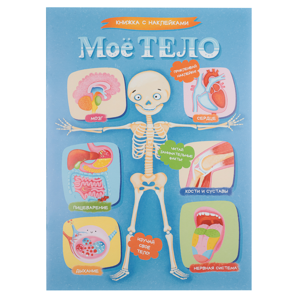 УИД Книжка с наклейками "Мое тело", бумага, 32 стр., 21х29см, арт.№ 857-165
