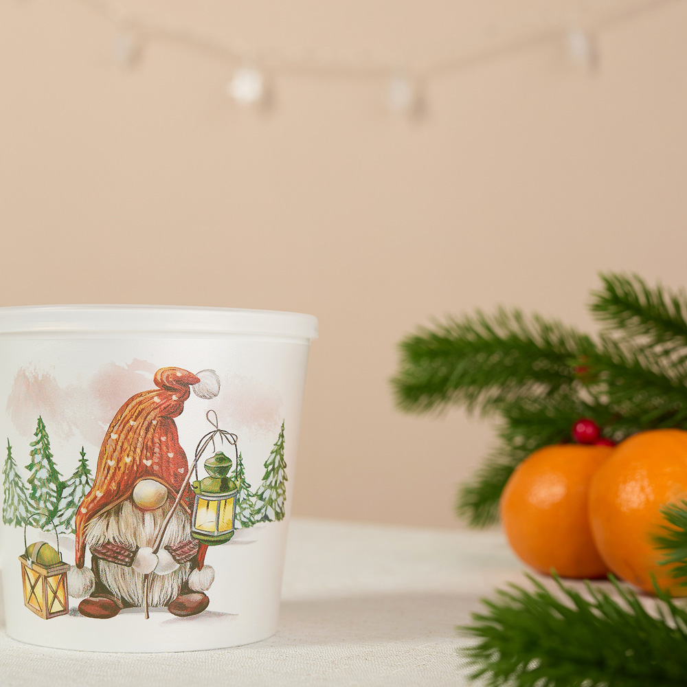 Шишки, Гном Кружка-контейнер, 750мл, пластик, 2 дизайна, арт.№ 861-470