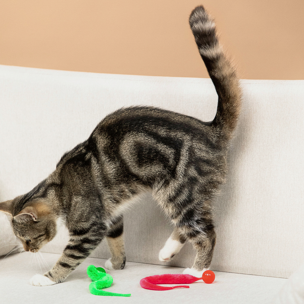 VETTA Игрушка для домашних животных, ТПР, ПЭ, 2,5 см, арт.№ 273-125