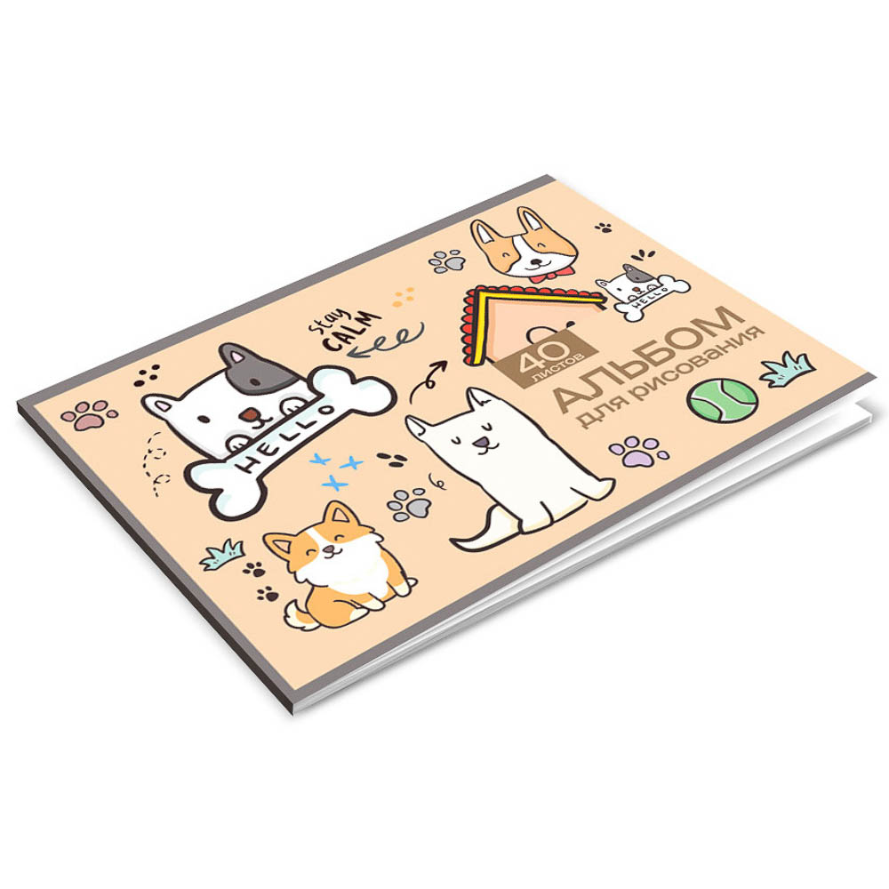 Альбом для рисования А4, 40 листов, обложка картон, скрепка "Минисо Стайл", 2 диз., арт.№ 524-332