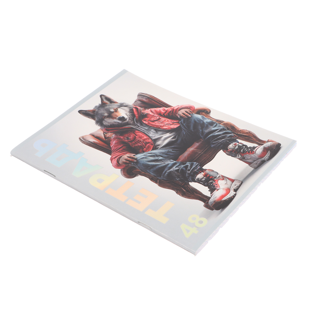 Тетрадь 48л. ClipStudio А5 "Звери в креслах" в клетку, офсет, обл. мел.карт., скрепка,выб лак,4 диз., арт.№ 578-169