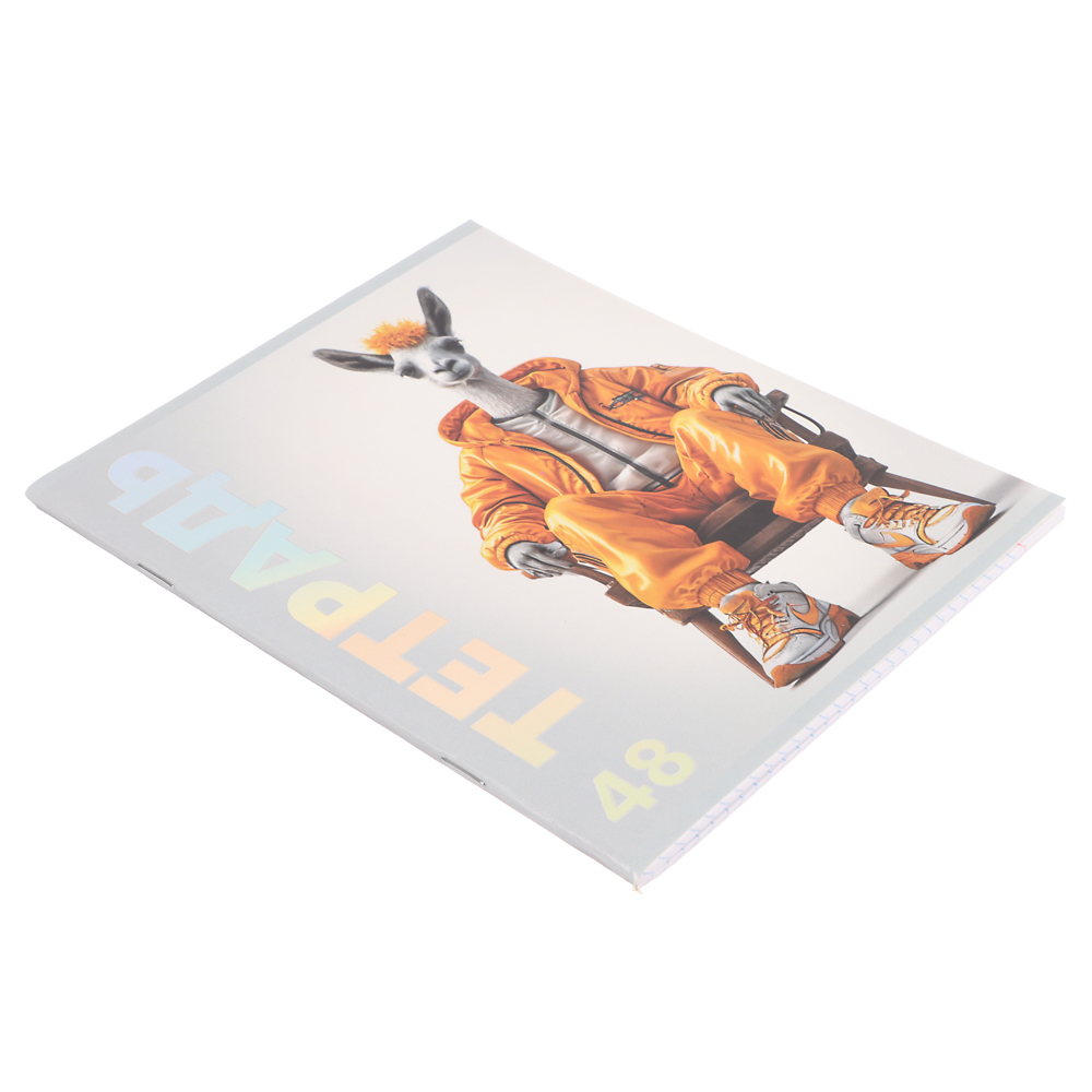 Тетрадь 48л. ClipStudio А5 "Звери в креслах" в клетку, офсет, обл. мел.карт., скрепка,выб лак,4 диз., арт.№ 578-169