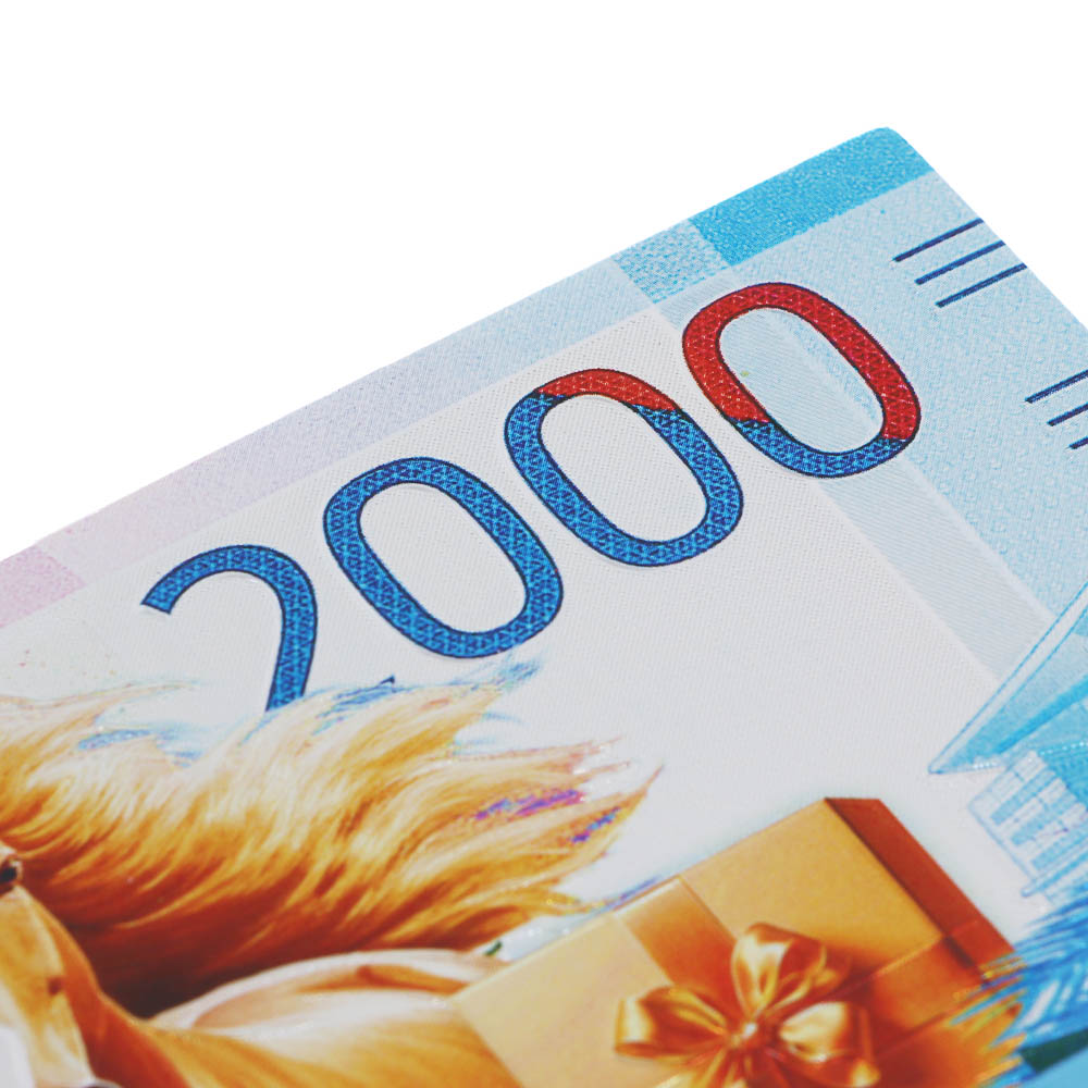 Магнит рубли тм СНОУ БУМ с серебряным фольгированием, 15x6 см, PVC, EVA, фольга, микс, арт.№ 705-505