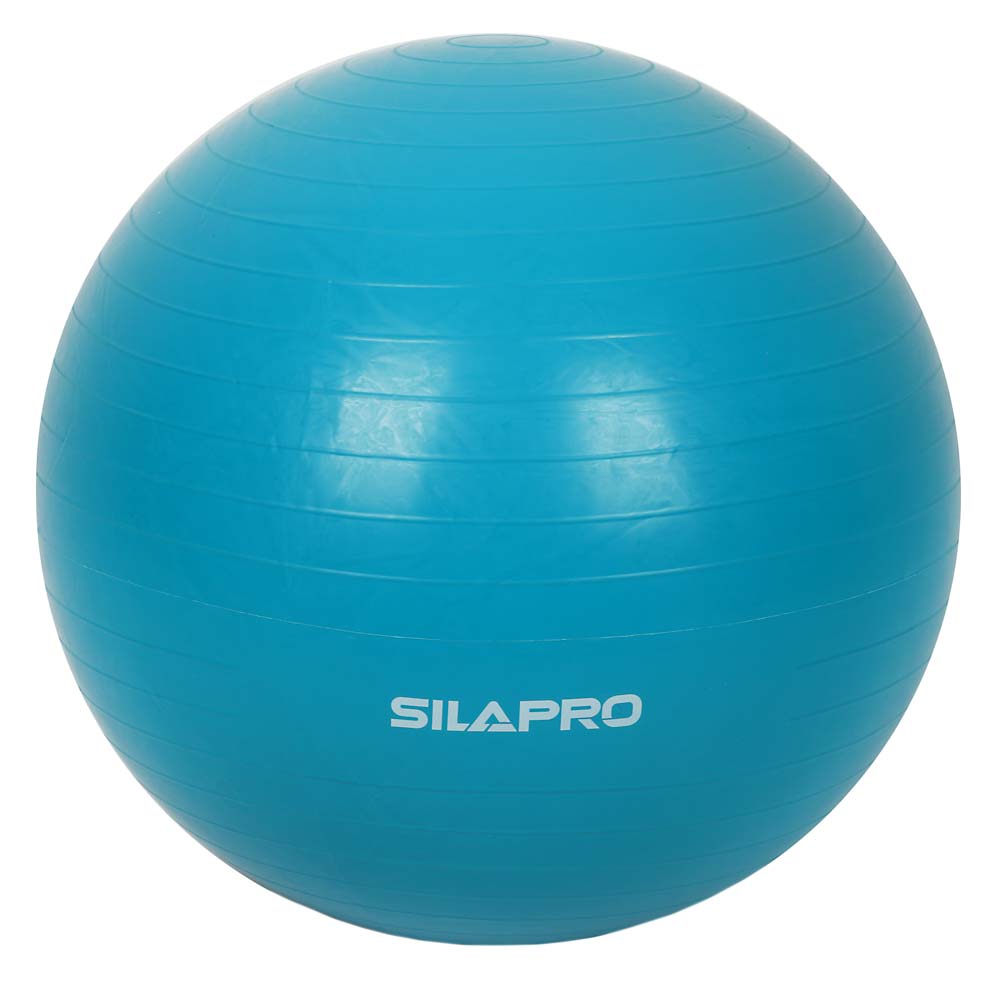 SILAPRO Мяч для фитнеса гимнастический, нагрузка до 80кг, d 65см, ПВХ, 4 цвета, арт.№ 193-003