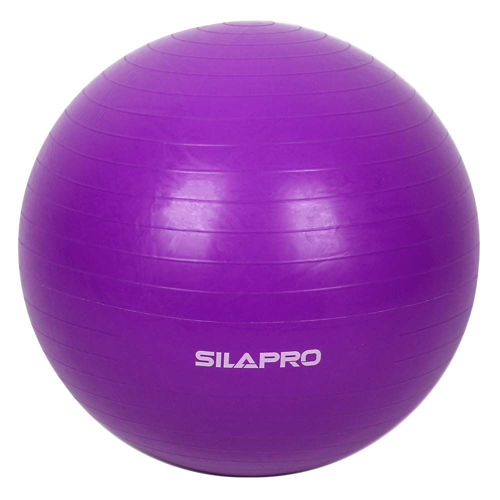 SILAPRO Мяч для фитнеса гимнастический, нагрузка до 80кг, d 65см, ПВХ, 4 цвета, арт.№ 193-003