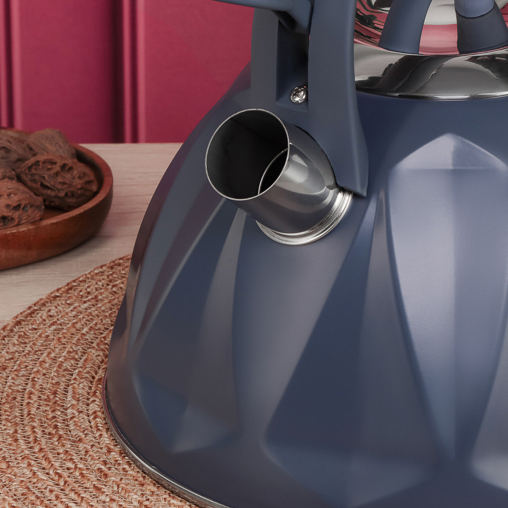 SATOSHI Чайник стальной 2,7л "Ривьера", индукция, арт.№ 847-119