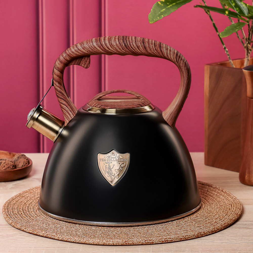 VETTA Чайник стальной 2,8л "Форно", индукция, арт.№ 847-121