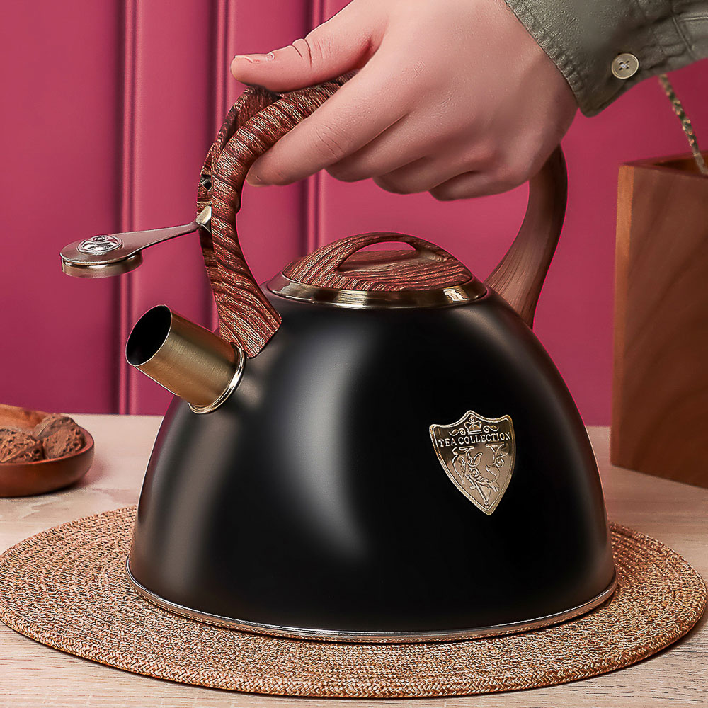 VETTA Чайник стальной 2,8л "Форно", индукция, арт.№ 847-121