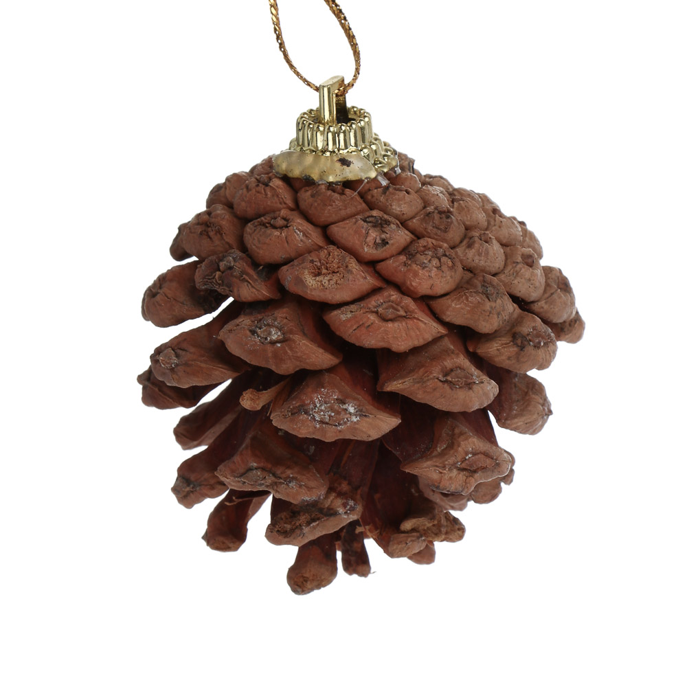 СНОУ БУМ Набор декоративных украшений 6шт, шишки натуральные, 6см, арт.№ 374-600