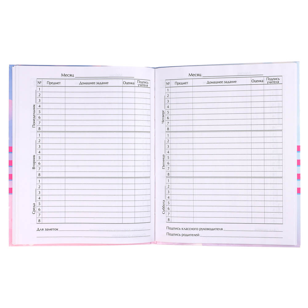 Дневник школьный для младших классов, 48л, гибкая интегральная обложка, блок офсет 60 г\м2,  5 диз., арт.№ 564-003