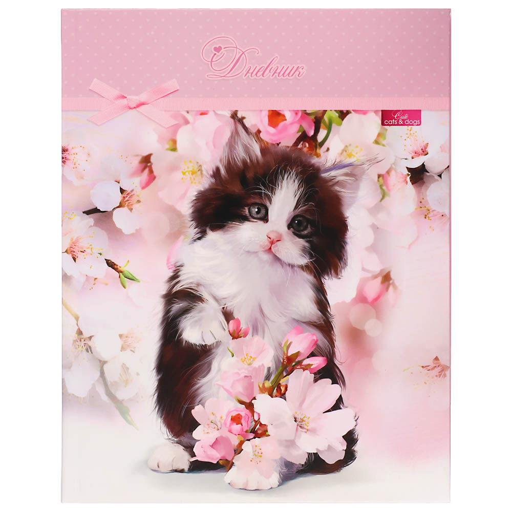 Дневник школьный для старших классов, 48л., гибкая интегральная обложка, блок офсет 60 г\м2, 5 диз., арт.№ 564-005