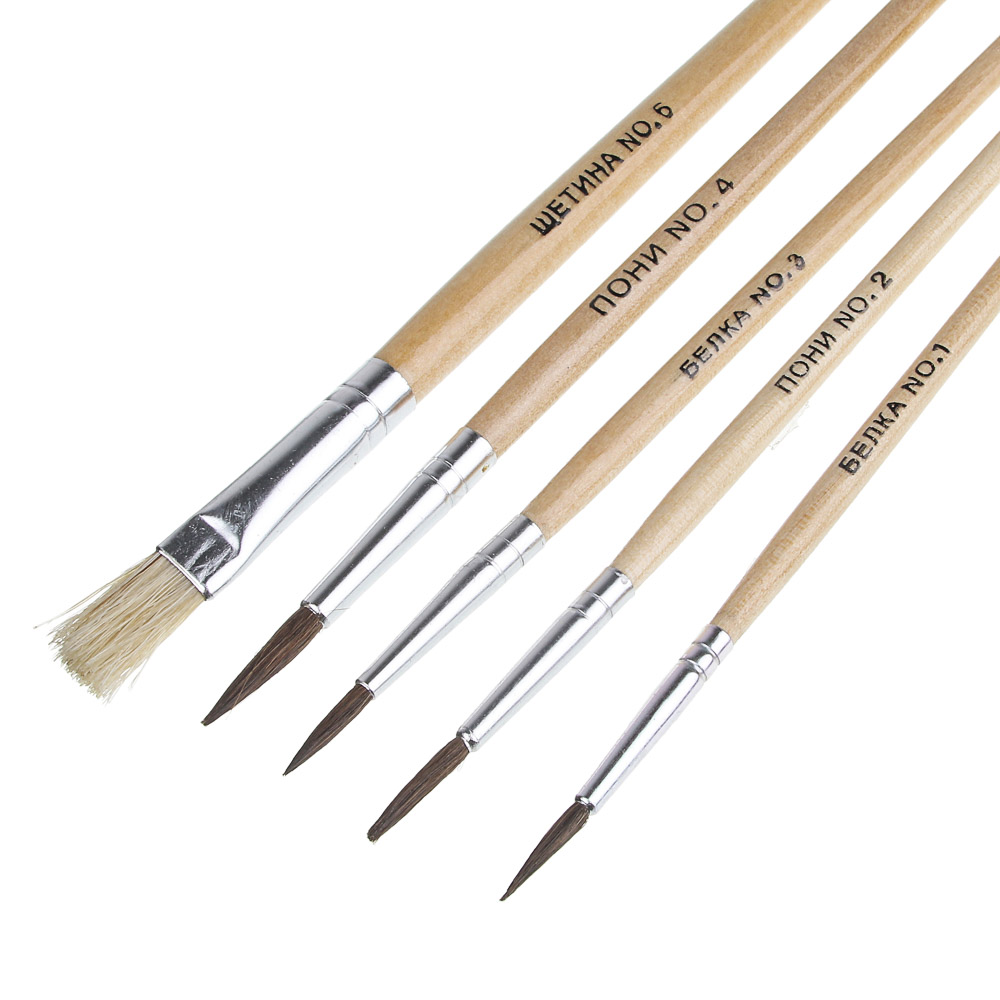 Спорт Эффект Набор кистей 5 шт: белка №1,3 волос пони № 2,4, щетина №6, в пакете с подвесом, арт.№ 229-060