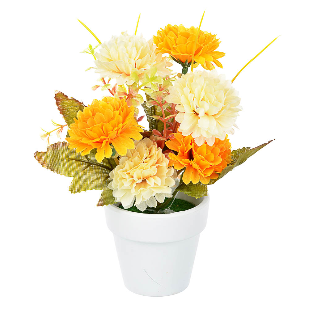 LADECOR Цветы в кашпо "Фиалки махровые" в белом горшке, 5 дизайнов, керамика, пластик, PE,16см, арт.№ 501-032