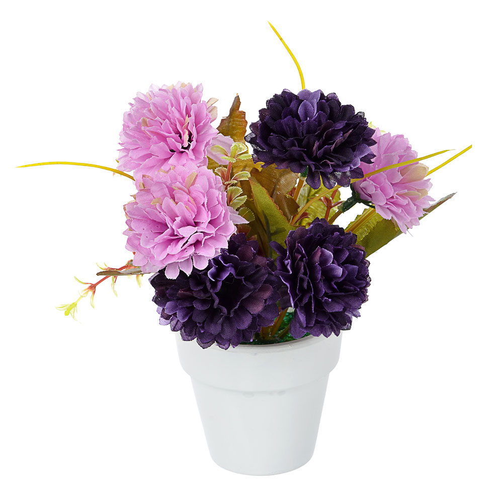 LADECOR Цветы в кашпо "Фиалки махровые" в белом горшке, 5 дизайнов, керамика, пластик, PE,16см, арт.№ 501-032