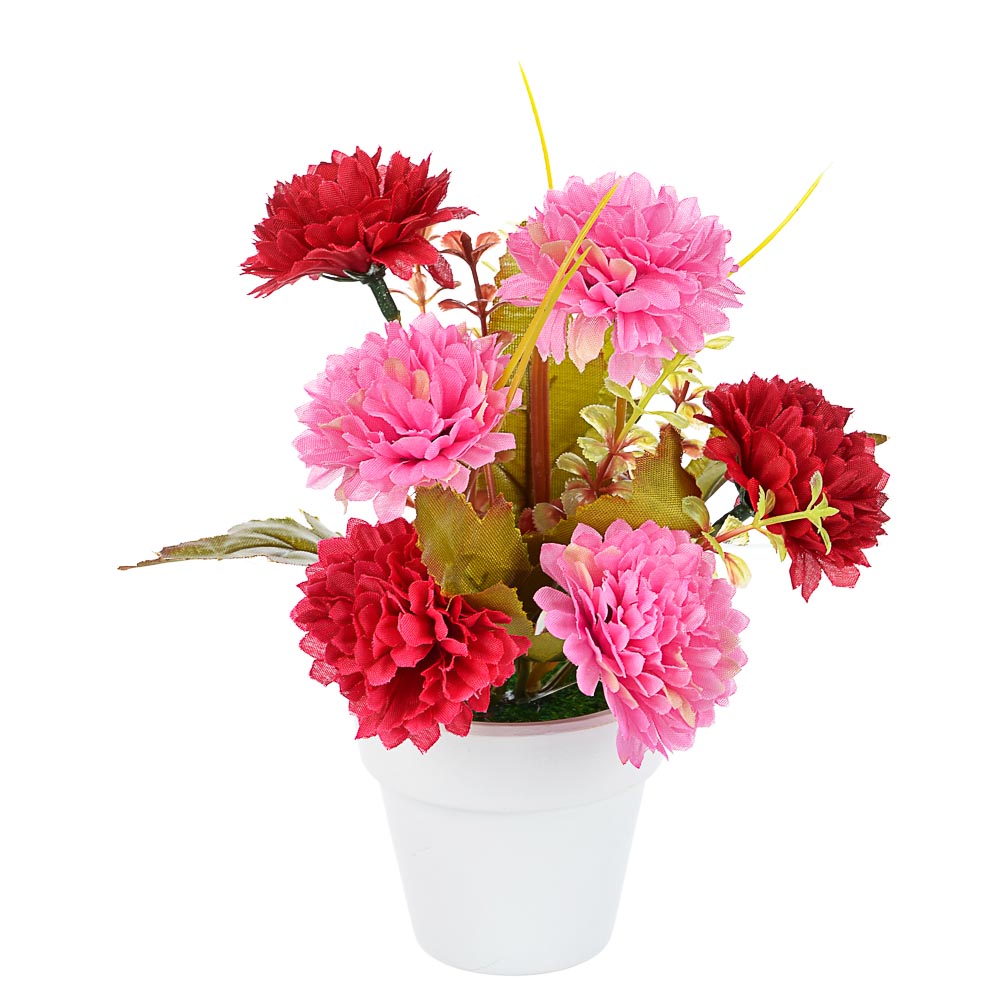 LADECOR Цветы в кашпо "Фиалки махровые" в белом горшке, 5 дизайнов, керамика, пластик, PE,16см, арт.№ 501-032