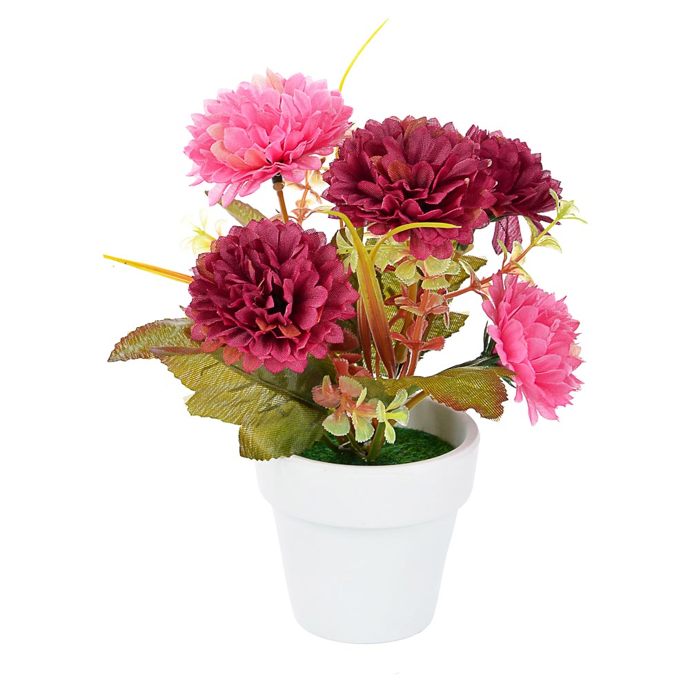 LADECOR Цветы в кашпо "Фиалки махровые" в белом горшке, 5 дизайнов, керамика, пластик, PE,16см, арт.№ 501-032