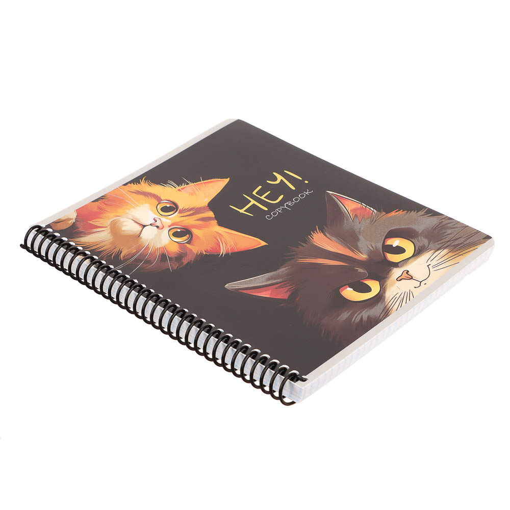 Тетрадь 96 л., А5, в клетку, БЕЛЫЕ ЛИСТЫ, обл.мел. картон, спираль, микс, арт.№ 578-180