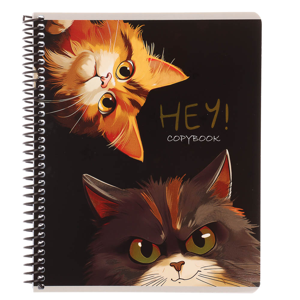 Тетрадь 96 л., А5, в клетку, БЕЛЫЕ ЛИСТЫ, обл.мел. картон, спираль, микс, арт.№ 578-180