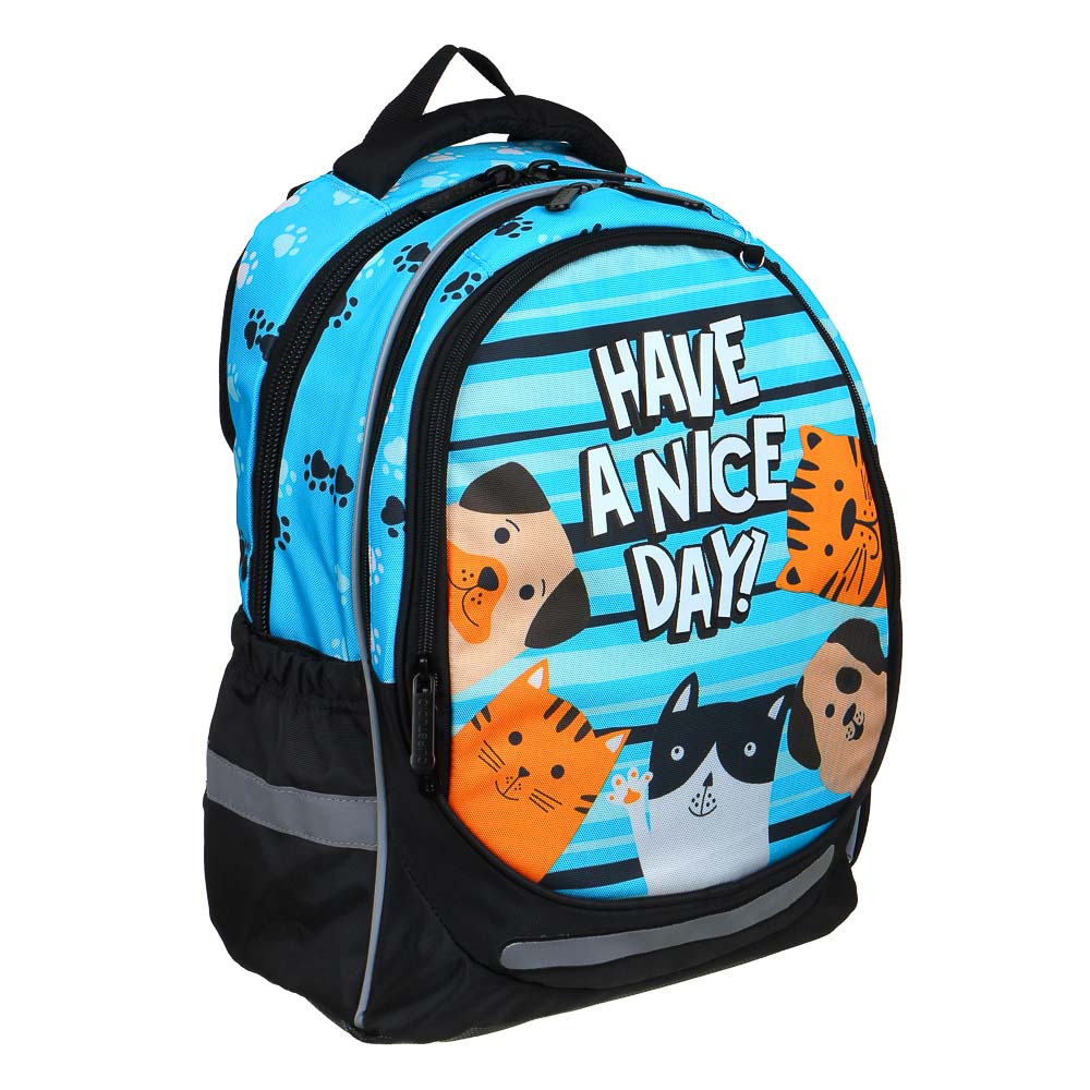 ХЭВ Э НАЙС ДЭЙ Рюкзак шк.полужесткий 37х28х14см, 3отд., 2карм., эргон.спинка, нагр.стяжка, ПЭ, арт.№ 254-469