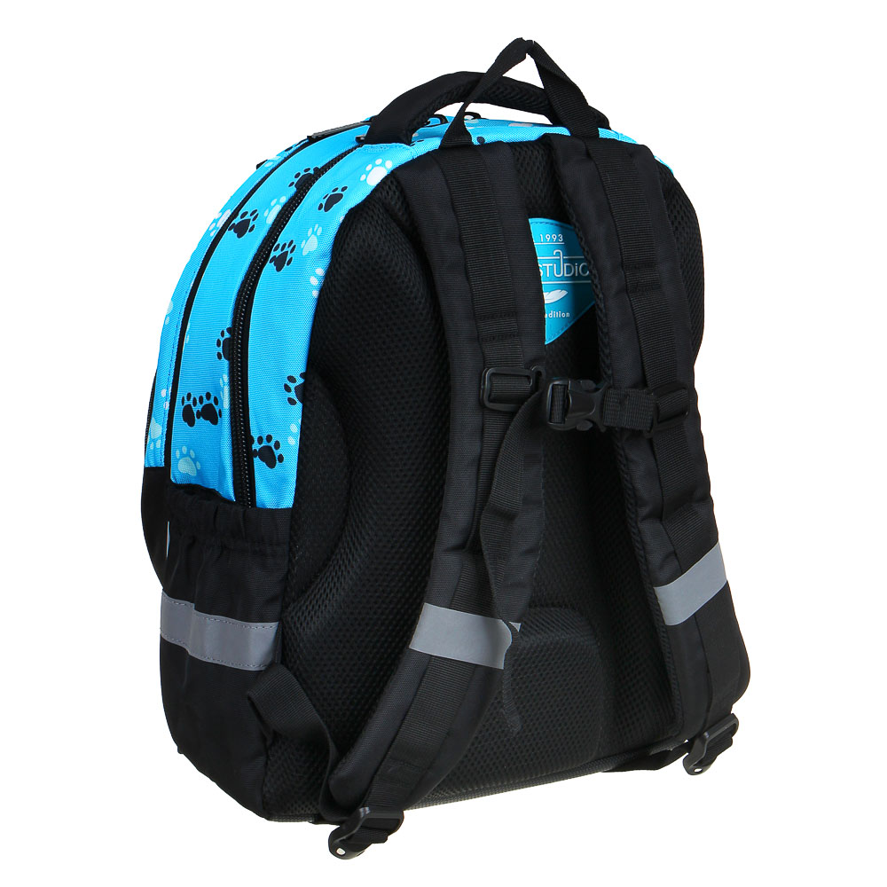 ХЭВ Э НАЙС ДЭЙ Рюкзак шк.полужесткий 37х28х14см, 3отд., 2карм., эргон.спинка, нагр.стяжка, ПЭ, арт.№ 254-469