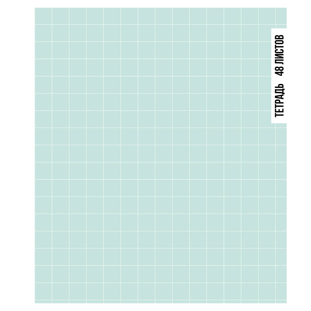 Тетрадь общая 48л. в клетку, БЕЛЫЕ ЛИСТЫ, обложка картон, скрепка, УФ лак, "Ничего лишнего" 4 диз, арт.№ 524-348