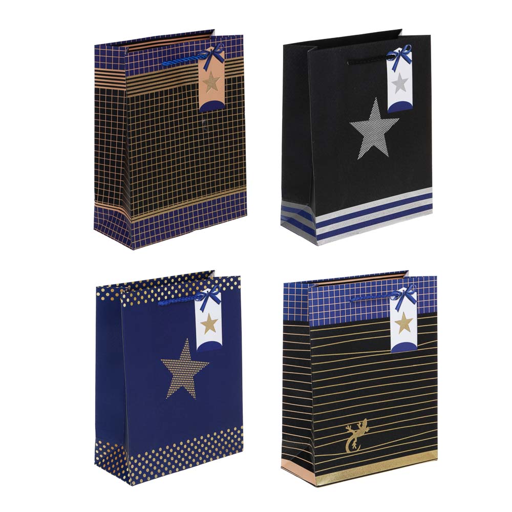 Пакет подарочный, вскч бум., тиснение фольгой, М 18x23x8 см, мужской, 210гр, 4 дизайна, арт.№ 570-047