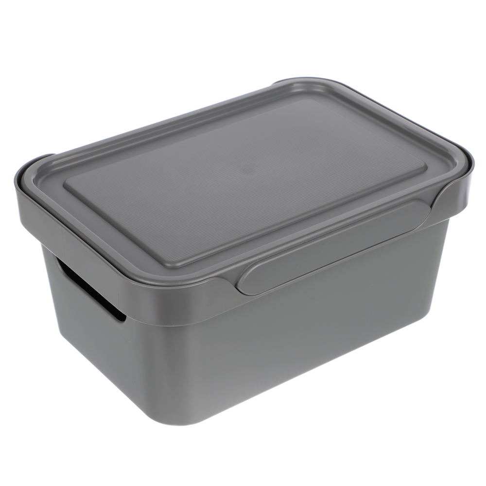 Ящик с крышкой универсальный Luxe, 270х190х120мм, 4,6л, серый, арт.№ 457-824