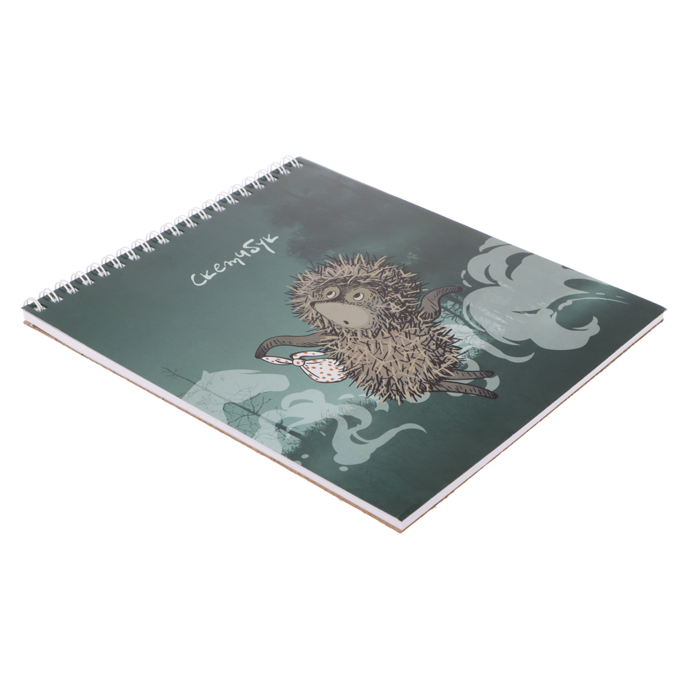 Ежик в Тумане Блокнот для зарисовок (скетчбук) 16,4х19,5см, 30л, спираль, твердая подложка, 2 диз., арт.№ 805-042