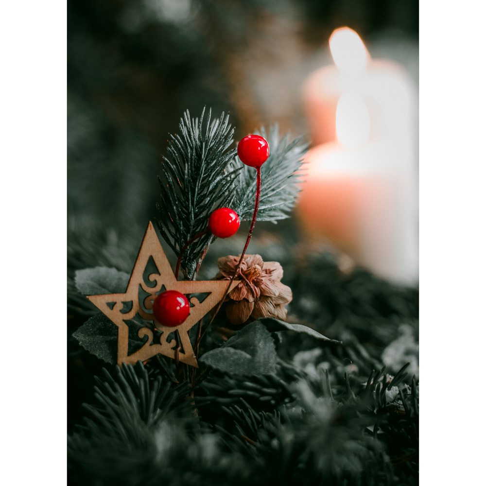 СНОУ БУМ Украшение декоративное в виде веточки, пластик, дерево, 20x10см, 3 вида, арт.№ 353-089