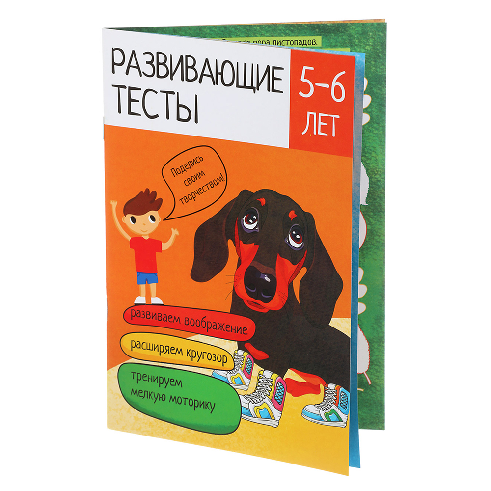 УИД Тесты развивающие "Логика и творчество", 2-7 лет, 12 стр., бумага, 14,5х21см, 4 дизайна, арт.№ 857-136