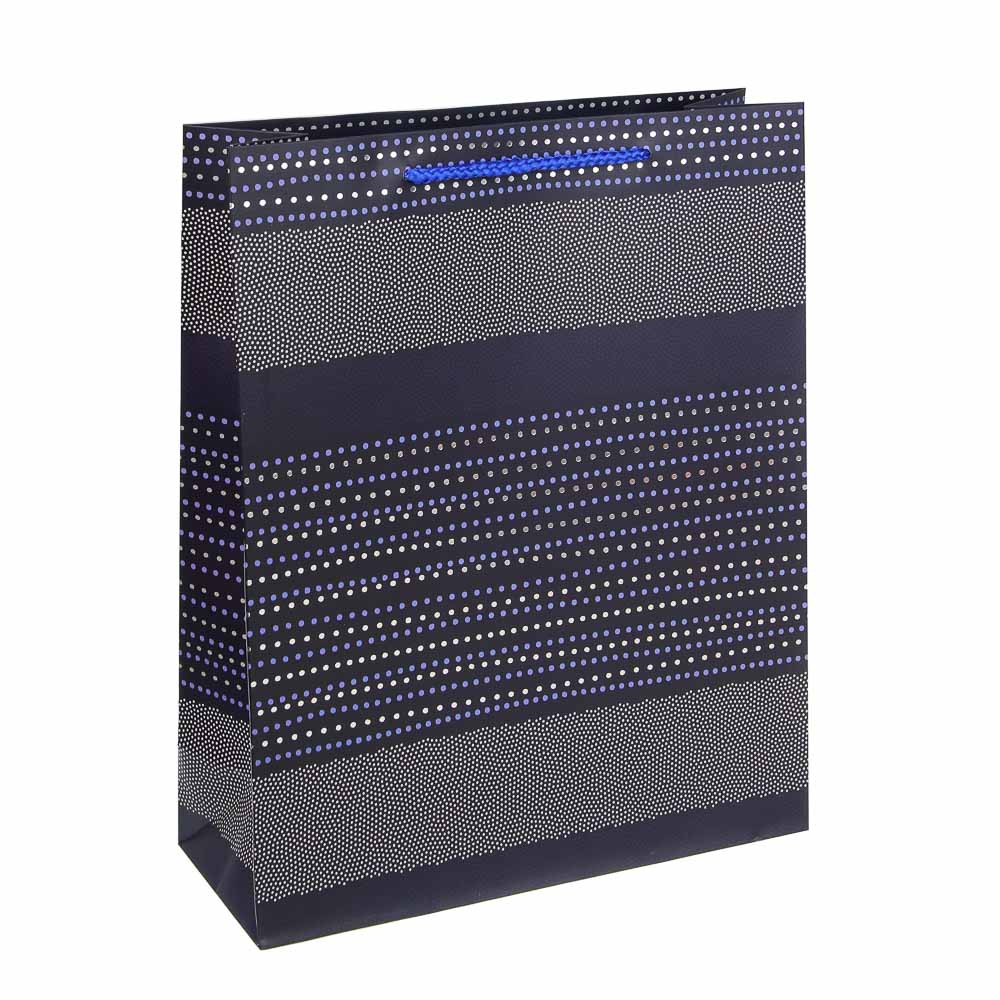 Пакет тм Fntastic подарочный, вскч бум., L 26x32x10см, полосы, 4 дизайна, арт.№ 570-051