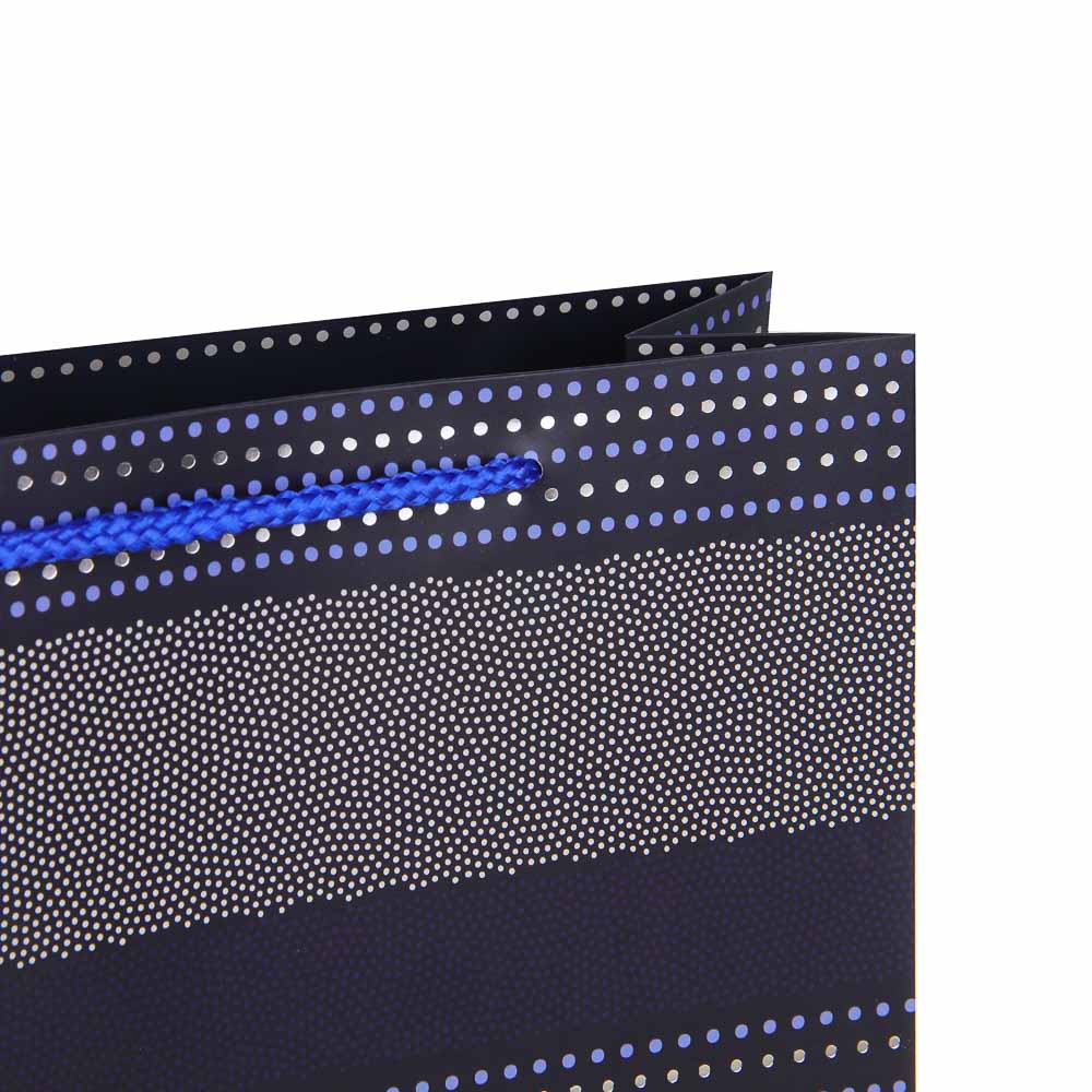 Пакет тм Fntastic подарочный, вскч бум., L 26x32x10см, полосы, 4 дизайна, арт.№ 570-051