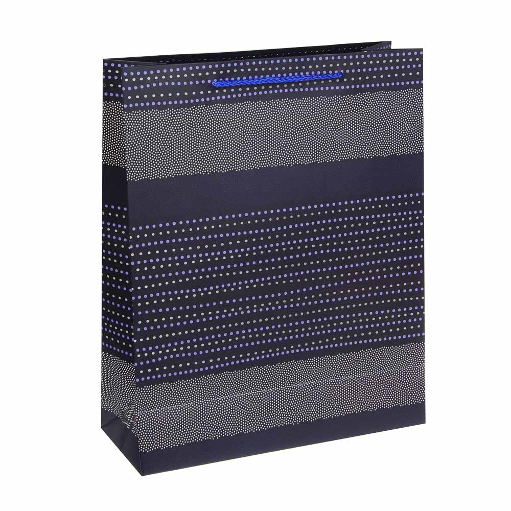 Пакет тм Fntastic подарочный, вскч бум., L 26x32x10см, полосы, 4 дизайна, арт.№ 570-051