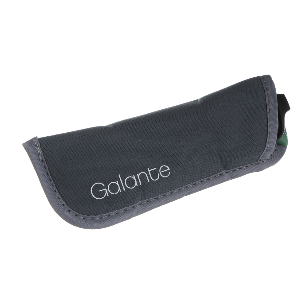 GALANTE Очки корригирующие с чехлом, пластик, полиэстер, PD62, (+): +1,+1.5,+2,+2.5,+3,+3.5 (ОК3), арт.№ 304-487